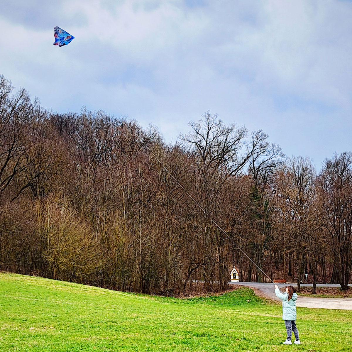 Drachen steigen lassen beim Ernst-Naegelsbach-Haus!